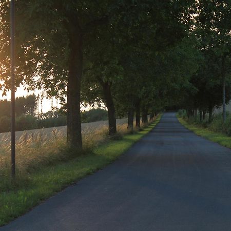 Fewo Harling - Waldsamkeit Bad Iburg Buitenkant foto