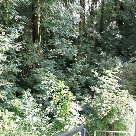 Fewo Harling - Waldsamkeit Bad Iburg Buitenkant foto