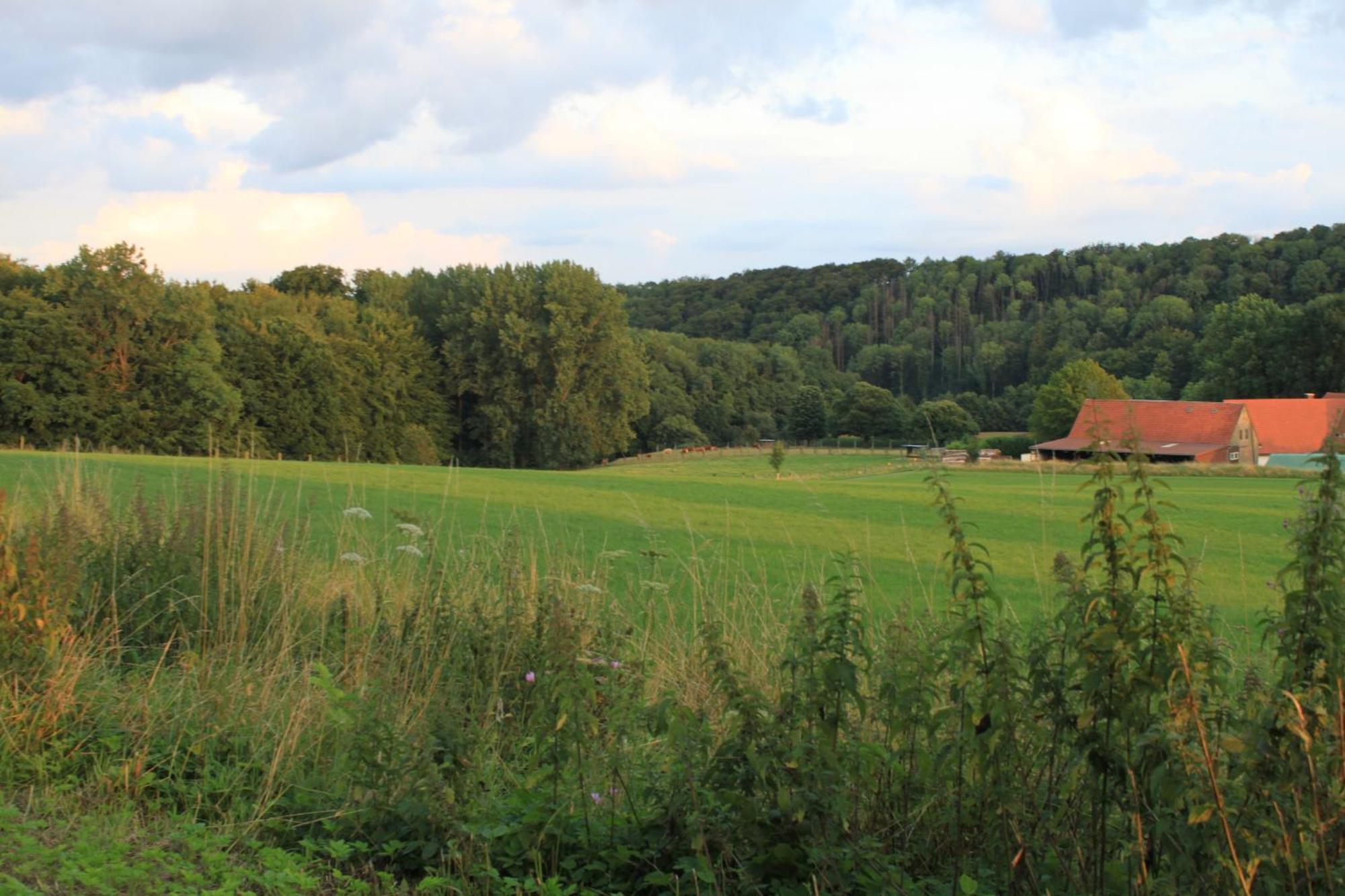 Fewo Harling - Waldsamkeit Bad Iburg Buitenkant foto