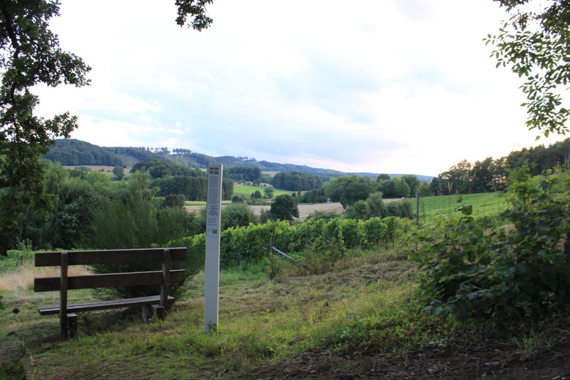 Fewo Harling - Waldsamkeit Bad Iburg Buitenkant foto