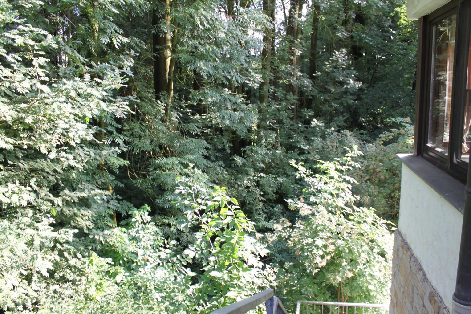 Fewo Harling - Waldsamkeit Bad Iburg Buitenkant foto